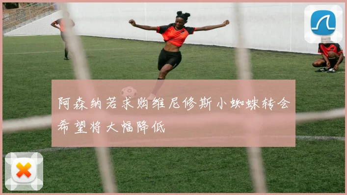 阿森纳若求购维尼修斯小蜘蛛转会希望将大幅降低